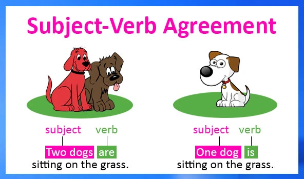 pte-writing-subject-verb-agreement-pte-magic-international