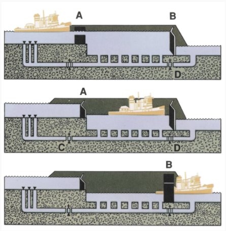 135551951_257938812422950_1088657808859455197_n